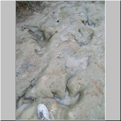 100_0719 (2009-27-07).JPG